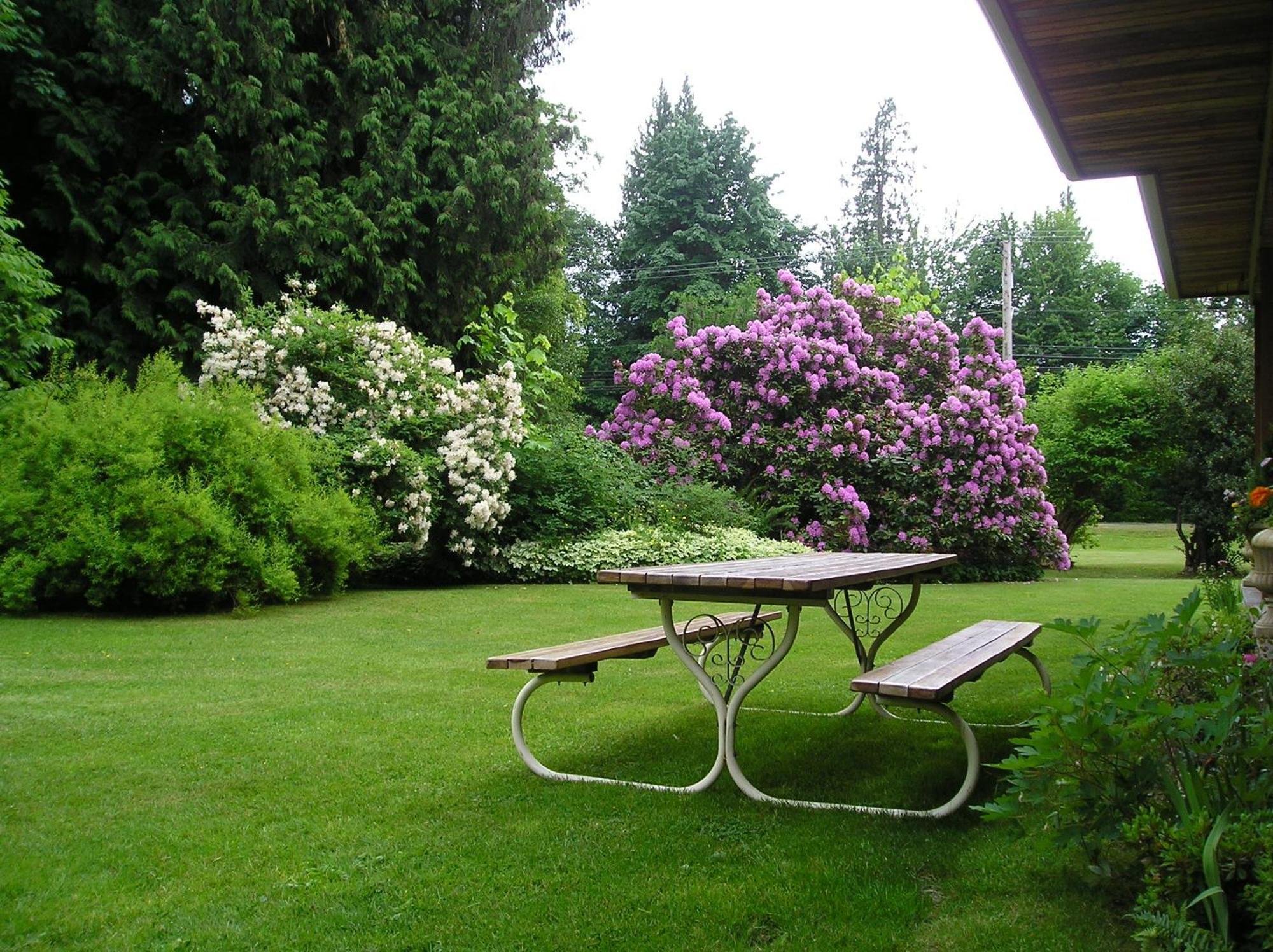 Cedar Wood Lodge Bed & Breakfast Inn Port Alberni Exterior foto